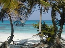 harbour island