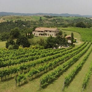 House and Vineyard