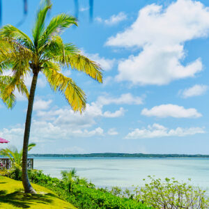 A beautiful view of the ocean from lad with palm trees