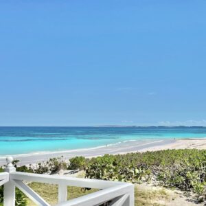 A beautiful view of the beach with small plants in the front.